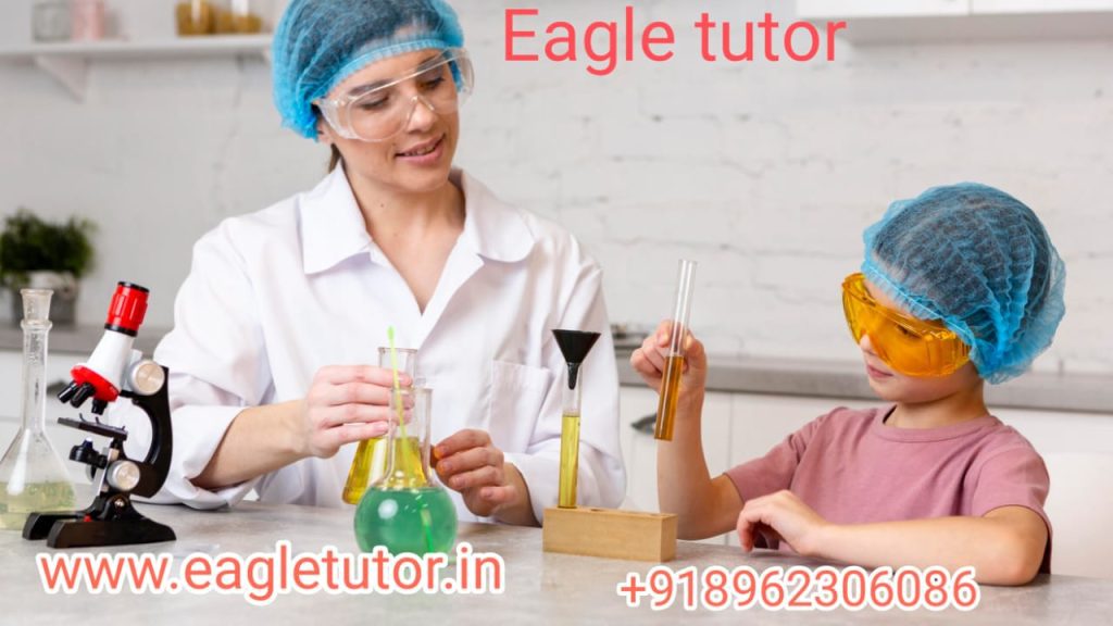 Expert Chemistry Assignment Help by Eagle Tutor-2024